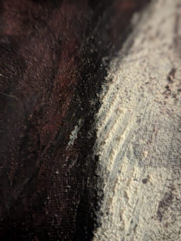 PXL_20260212_000832945.PORTRAIT